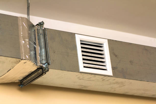 Best Local Air Duct Cleaning Services  in Donna, TX